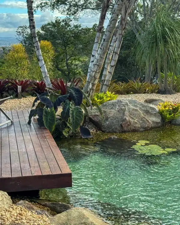 Lago residencial com deck de madeira, pedras e plantas aquáticas entre árvores